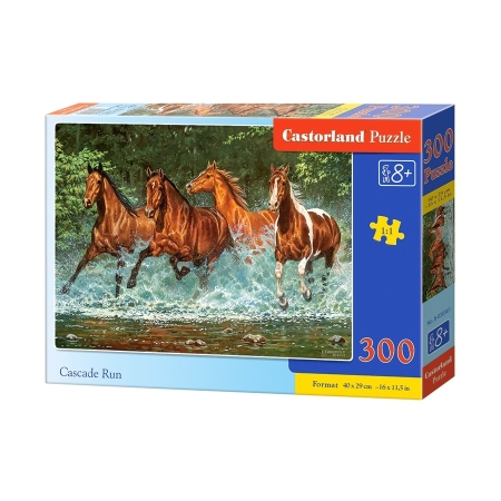 PUZZLE CASTOR 300 el. Cascade Run